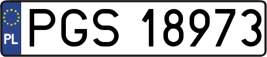 PGS18973