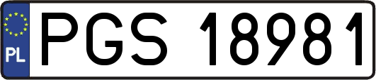PGS18981