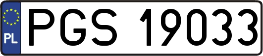 PGS19033