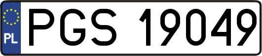 PGS19049