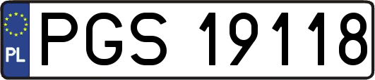 PGS19118