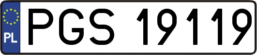 PGS19119