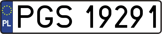 PGS19291