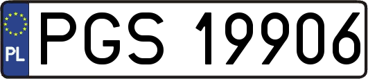 PGS19906