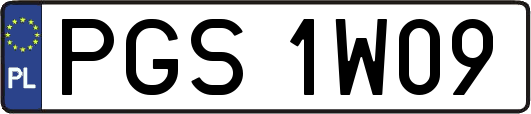 PGS1W09