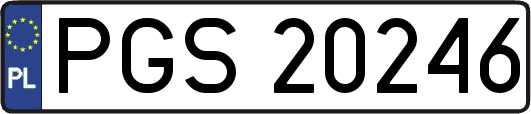 PGS20246