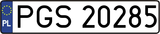 PGS20285