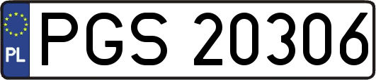 PGS20306