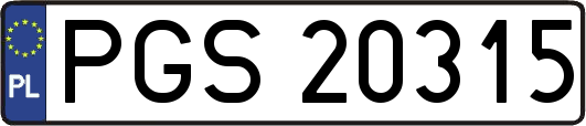 PGS20315