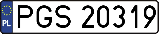 PGS20319