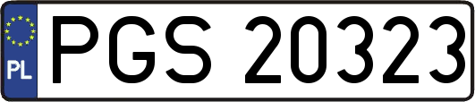 PGS20323