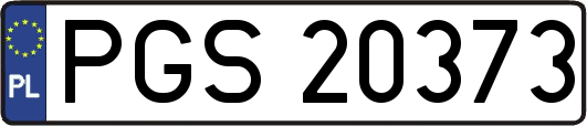PGS20373