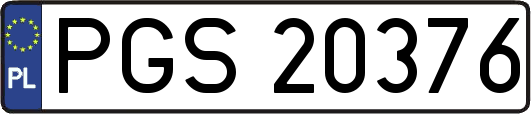 PGS20376