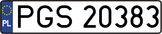 PGS20383