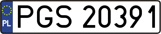 PGS20391