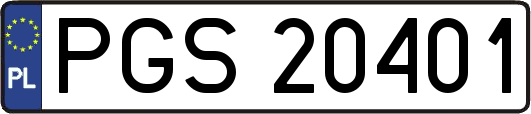 PGS20401