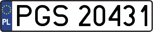 PGS20431