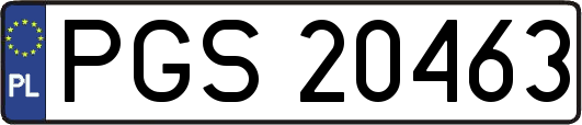 PGS20463