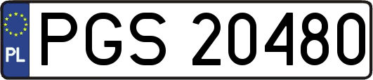 PGS20480