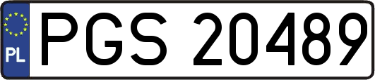 PGS20489