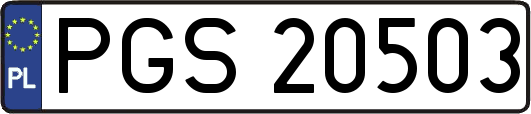 PGS20503