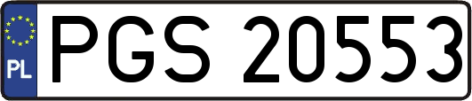 PGS20553