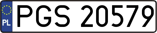 PGS20579