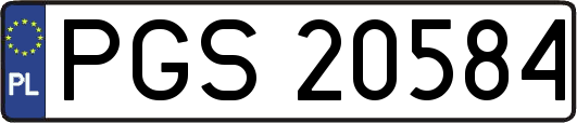 PGS20584
