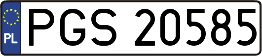 PGS20585