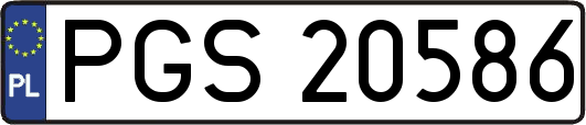 PGS20586