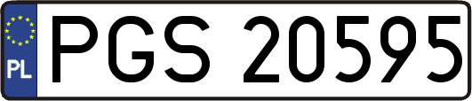 PGS20595
