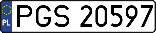 PGS20597