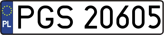 PGS20605