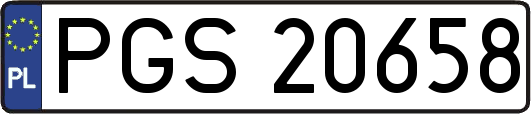 PGS20658