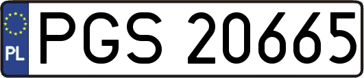 PGS20665