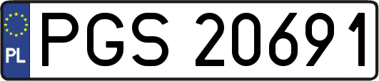 PGS20691