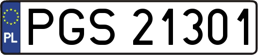 PGS21301