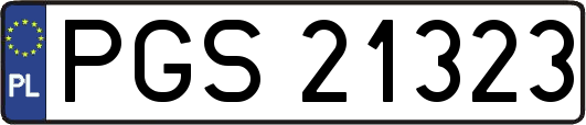 PGS21323
