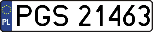 PGS21463