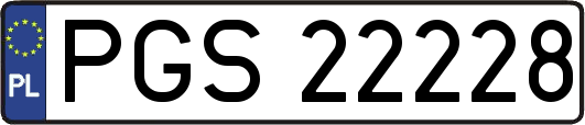 PGS22228