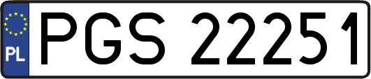 PGS22251
