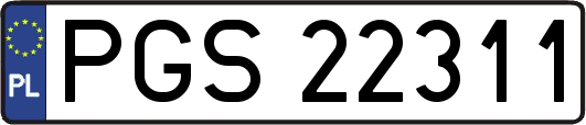 PGS22311