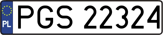 PGS22324