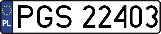 PGS22403
