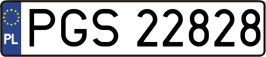 PGS22828
