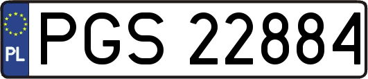 PGS22884