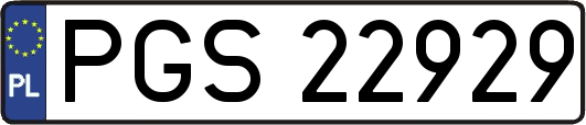PGS22929
