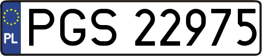 PGS22975