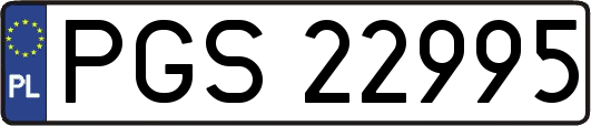 PGS22995