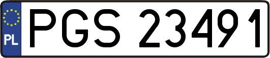 PGS23491